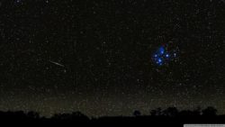 Флот «Белавиа» пополнился новым самолетом. Рассказываем о нем