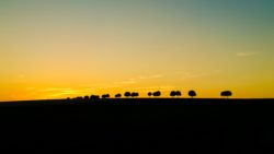 Тут таблица