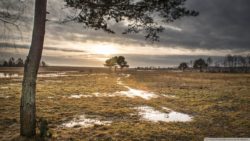 Десять современных фильмов о войне